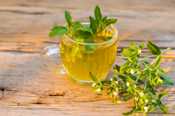 stevia.jpg