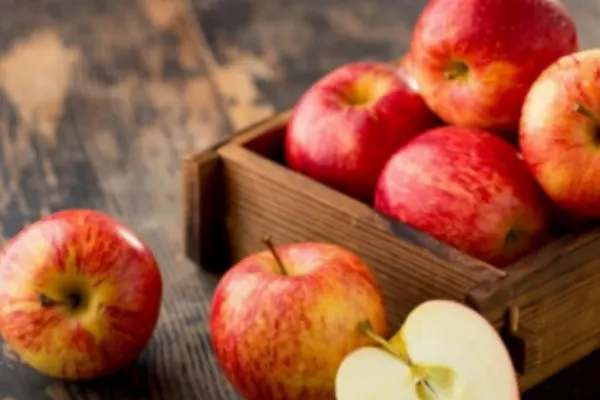 Apple powder