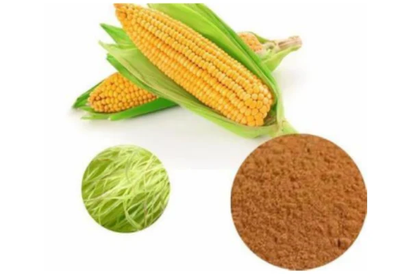 Corn Silk Extract