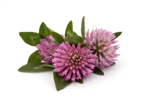 截图_20240315164252.png 截图_20240315164252.png