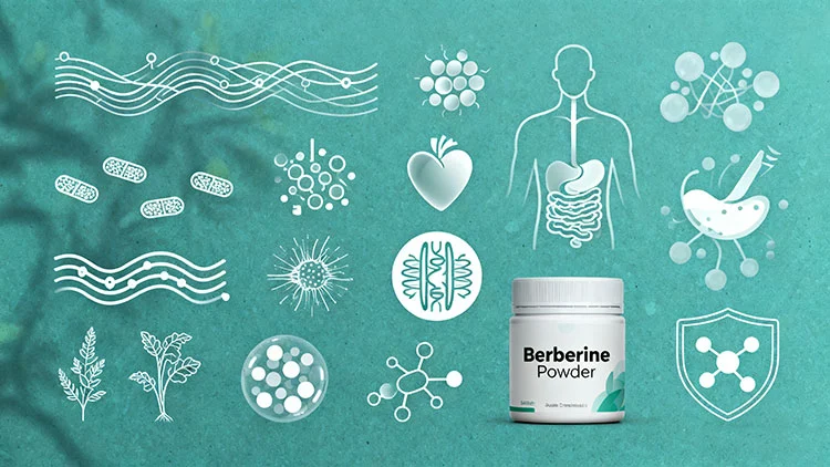 Berberine-Powder-benefits.jpg