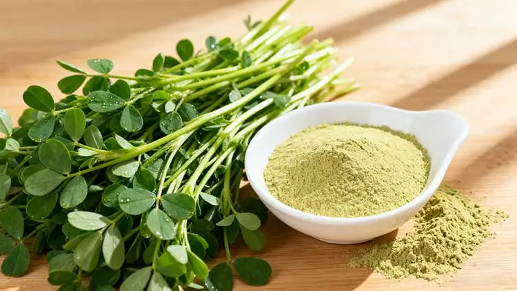 Alfalfa-Extract.jpg