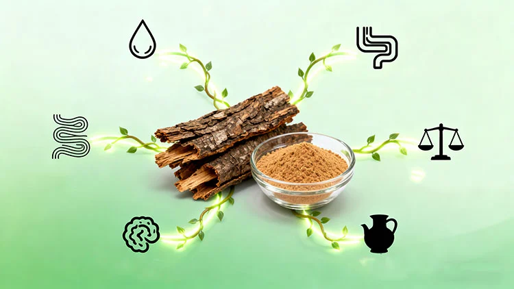 Cascara-Sagrada-Bark-Extract-benefits.jpg