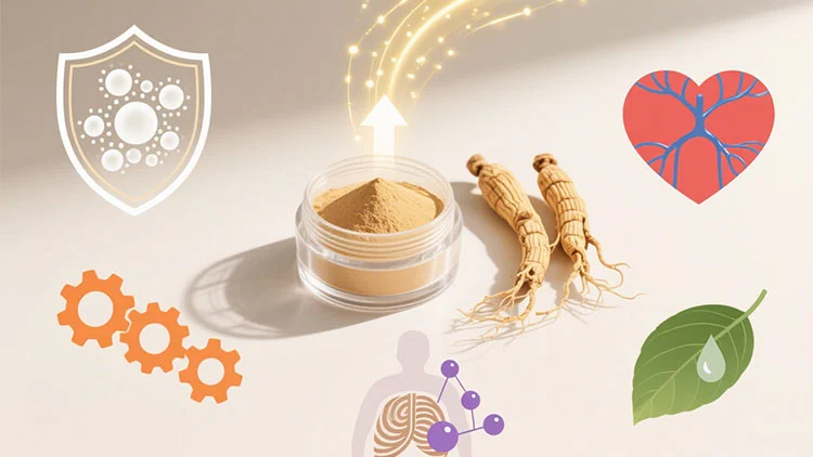 Astragalus-Extract-Powder-benefits.jpg