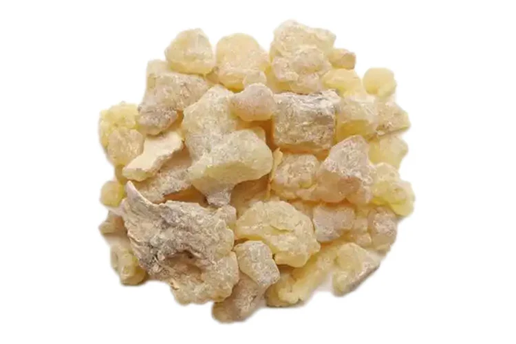 Boswellia Serrata Boswellia Serrata