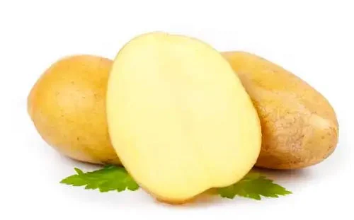 potato potato