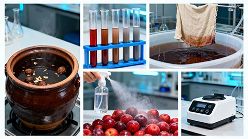 Techniques-for-Applying-Gallnut-Extract