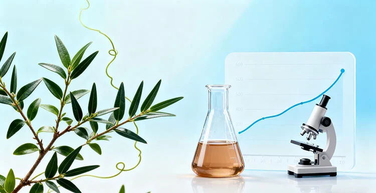 Long-Term-Use Long-Term-Use