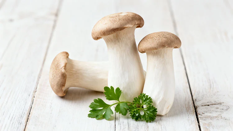 What-are-the-benefits-of-Organic-King-Trumpet-Mushrooms