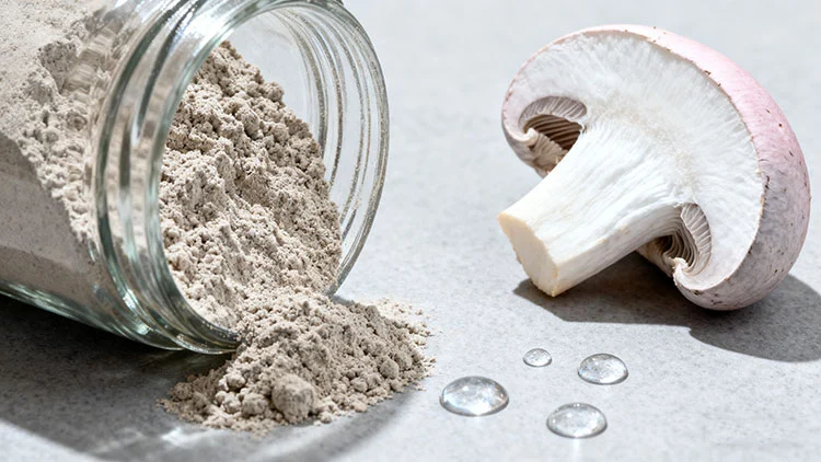 What-are-the-side-effects-of-Organic-Oyster-Mushroom-Powder What-are-the-side-effects-of-Organic-Oyster-Mushroom-Powder