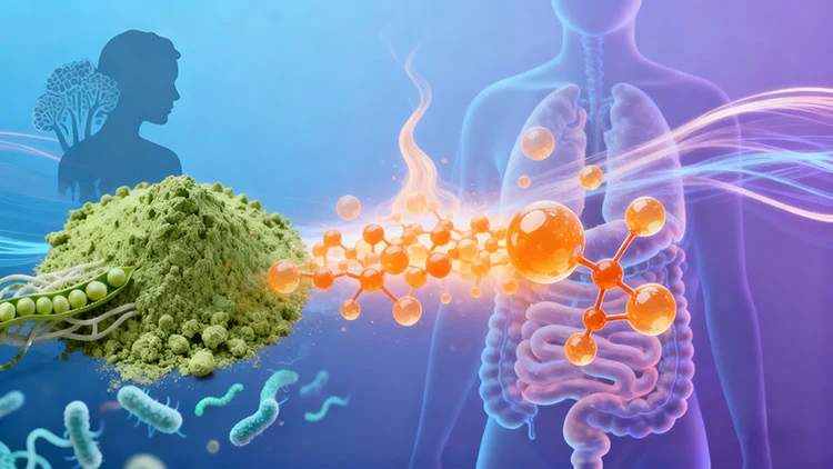 Feeding-the-Gut-Microbiome