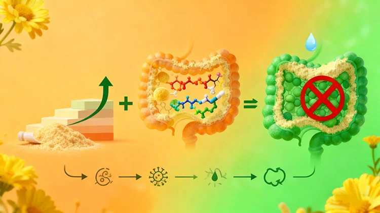 Usage-and-Tolerance Usage-and-Tolerance