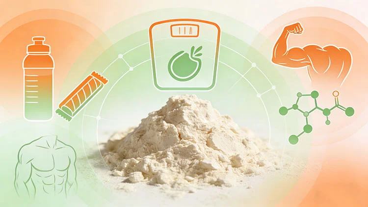Applications-of-Potato-Protein-Powder-in-the-Fitness-Industry Applications-of-Potato-Protein-Powder-in-the-Fitness-Industry