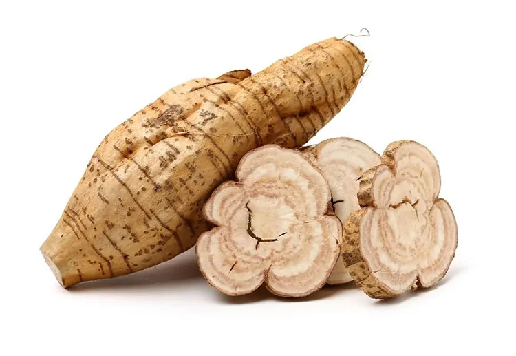 Pueraria-mirifica Pueraria-mirifica