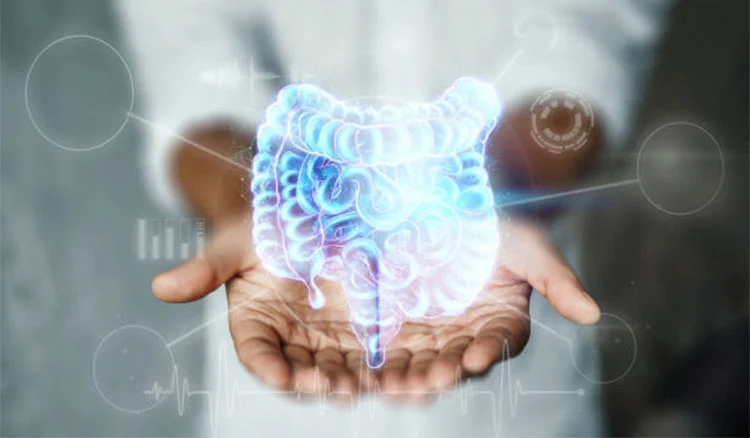 Digestive-Health Digestive-Health