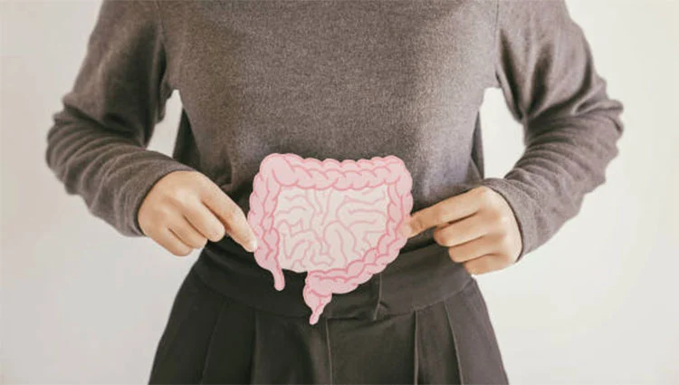 Digestive-Health