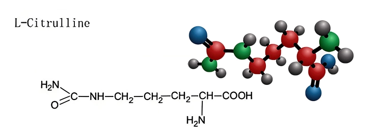 Bulk-L-citrulline Bulk-L-citrulline