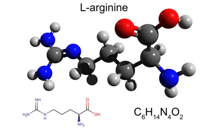L-arginine L-arginine