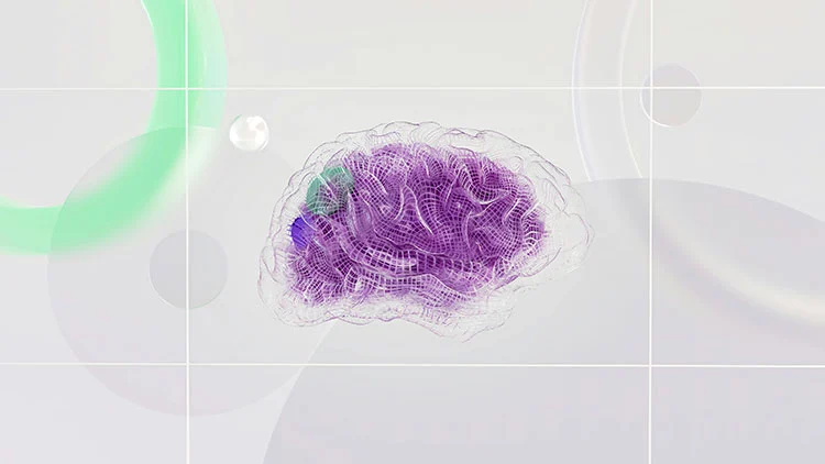 brain function