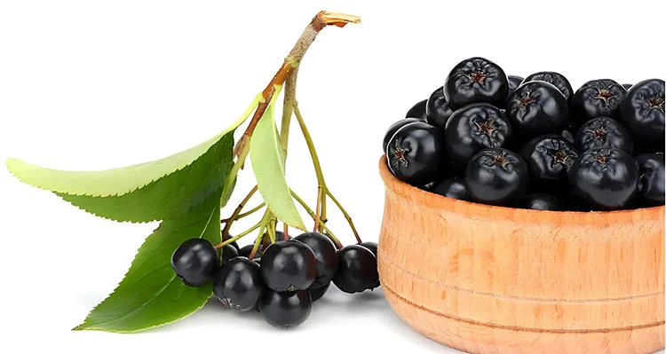 Aronia-Berry Aronia-Berry