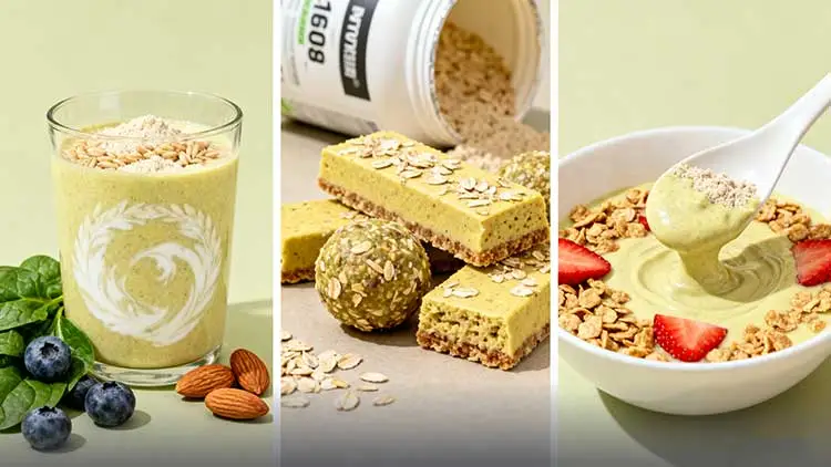 Incorporating-Rice-Protein-Powder-in-Low-Energy-Density-Meals