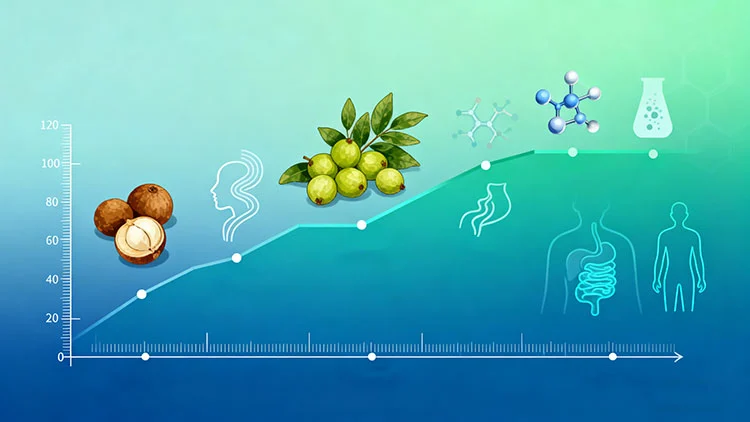 Dosage-Ranges-for-Safe-Use-of-Gallnut-Extract Dosage-Ranges-for-Safe-Use-of-Gallnut-Extract