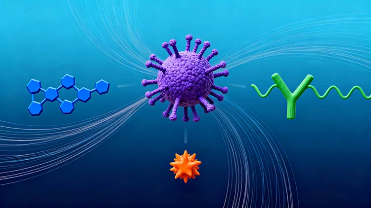 Molecular-Signaling-Pathways-Driven-by-Reishi-Components Molecular-Signaling-Pathways-Driven-by-Reishi-Components