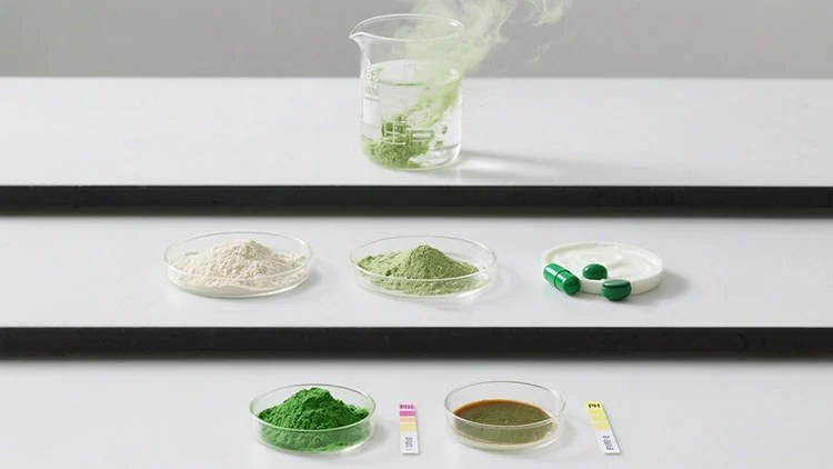 Functional-Advantages-of-Vacuum-Dried-Brassica-oleracea-var-Powder-in-Formulations