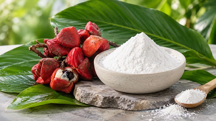 Thaumatin-Sweetener-Powder Thaumatin-Sweetener-Powder