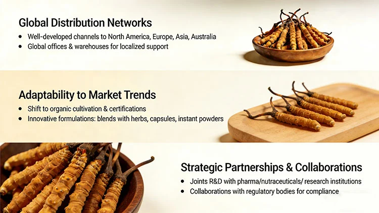 China's-Strategic-Market-Positioning China's-Strategic-Market-Positioning