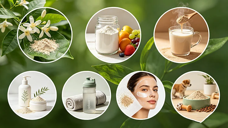 Geniposidic-Acid-Powder-Benefits