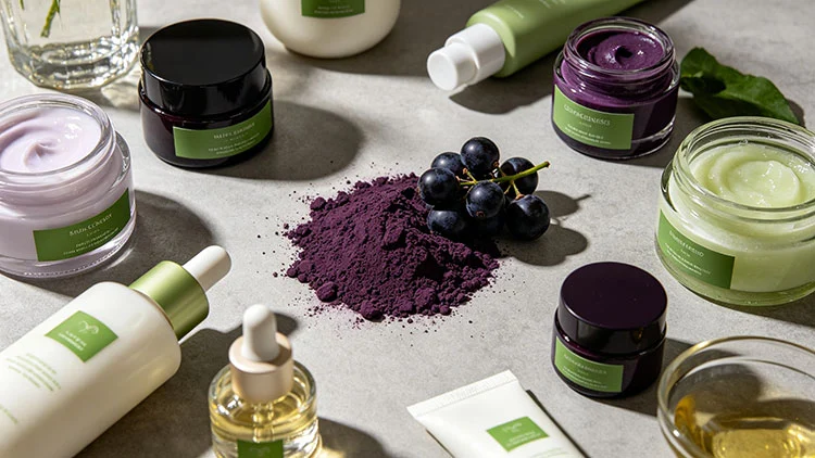Blackcurrant-Extract-Good-for-Cosmetic-and-Personal-Care-Formulations Blackcurrant-Extract-Good-for-Cosmetic-and-Personal-Care-Formulations
