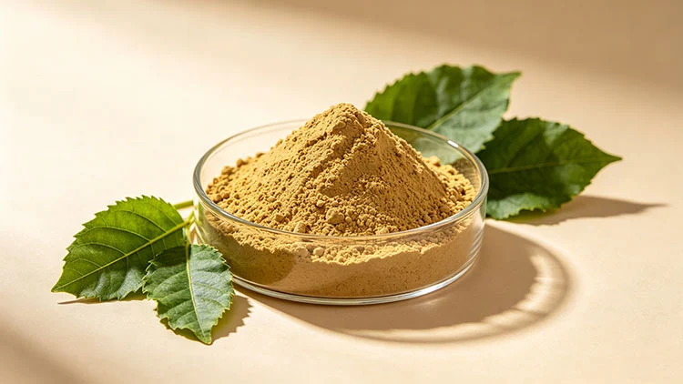 Guava-Leaves-Extract Guava-Leaves-Extract