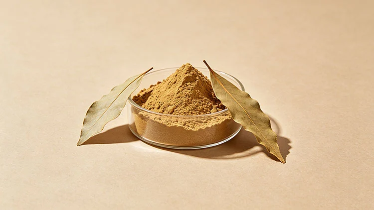 Buchu-Leaf-Extract Buchu-Leaf-Extract
