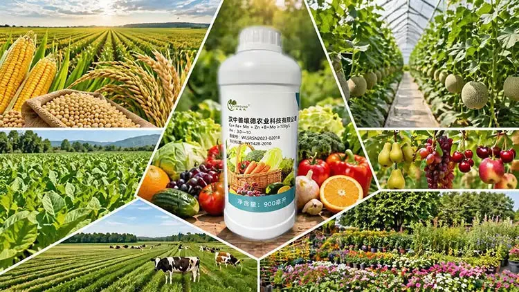 Water-Soluble-Micronutrient-Fertilizer-Scope-of-Application Water-Soluble-Micronutrient-Fertilizer-Scope-of-Application