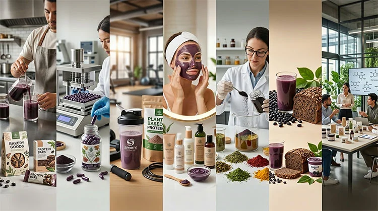 Black-Bean-Extract-Application