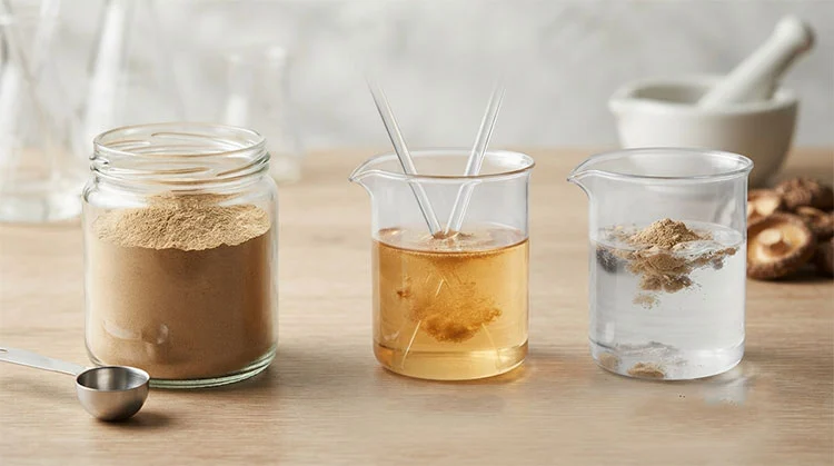 Shiitake-Mushroom-Extract-Powder-and-Sensitivity-Related-Reactions Shiitake-Mushroom-Extract-Powder-and-Sensitivity-Related-Reactions