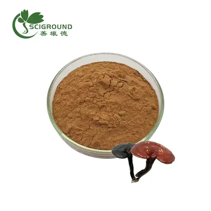 Ganoderma Lucidum 추출물 분말