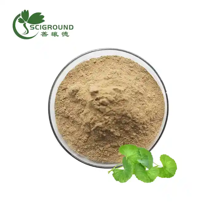 Pluhur ekstrakt Gotu Kola
