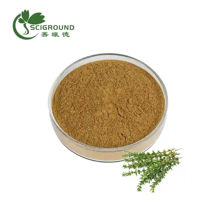 ការដកស្រង់ធីម