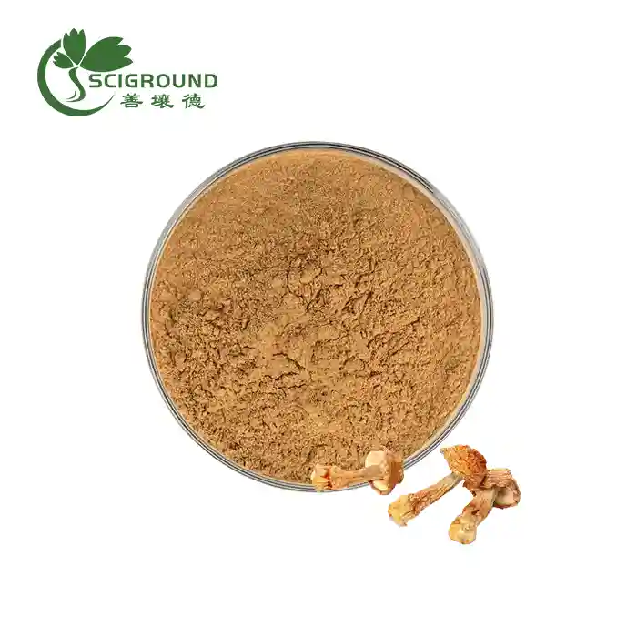 ایگریکس بلیزئی ایکسٹریکٹ