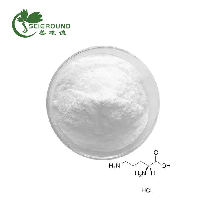 ម្សៅ L ornithine