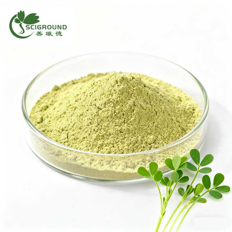 Alfalfa Extract Powder