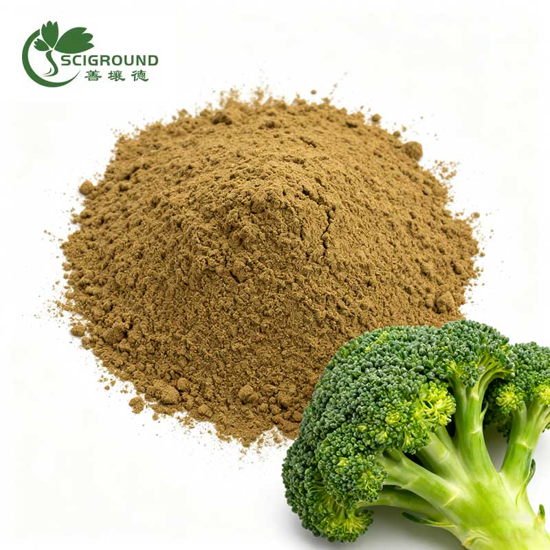 Broccoli Extract Powder