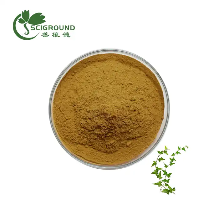 Ivy Extract 