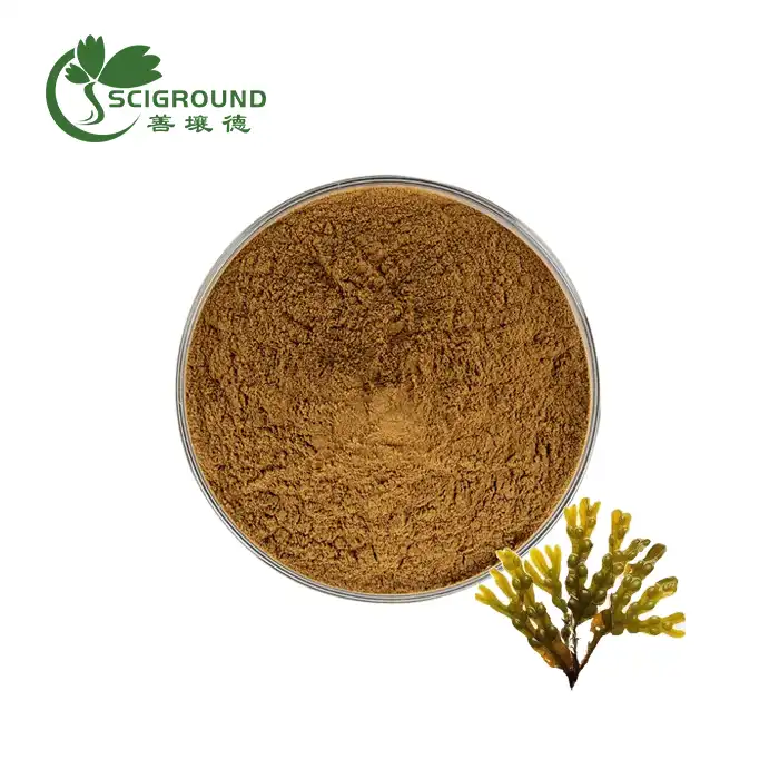 Fucus Vesiculosus Extract