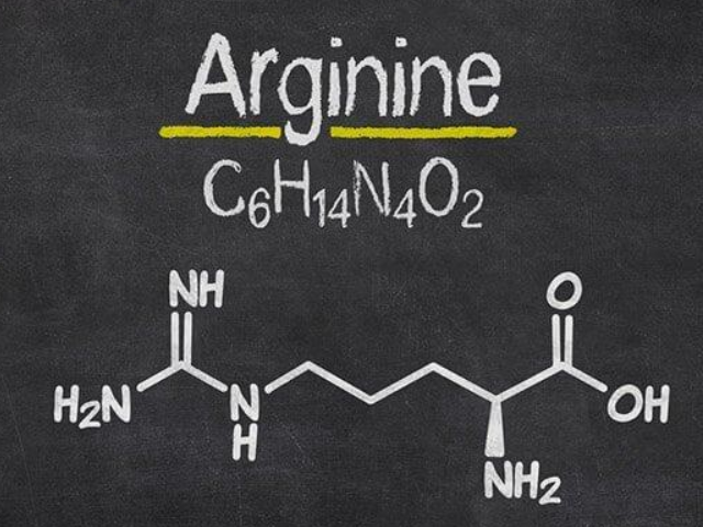 L-arginine hcl bột