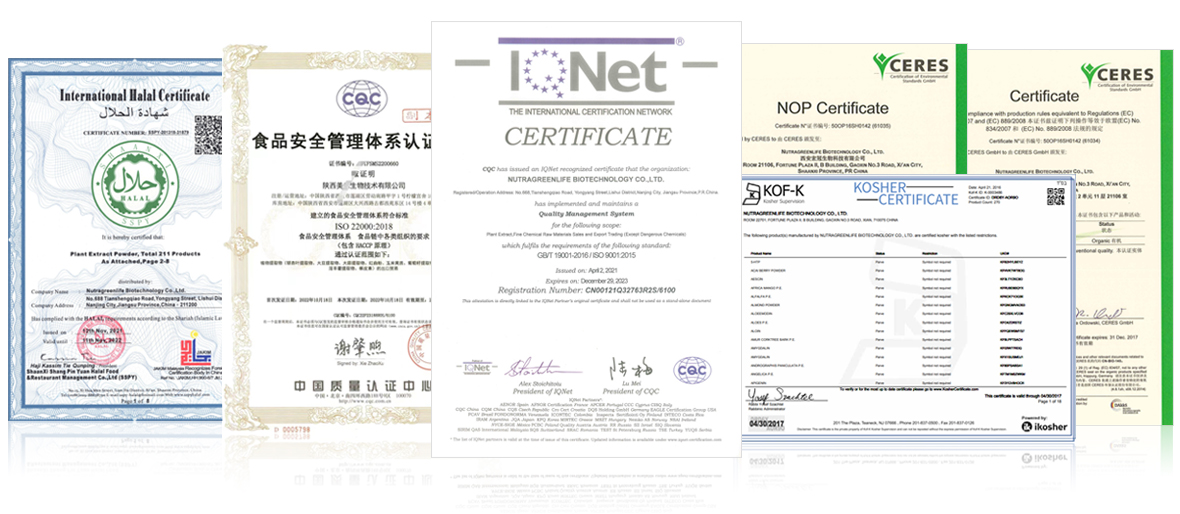 Certificate.jpg Certificate.jpg