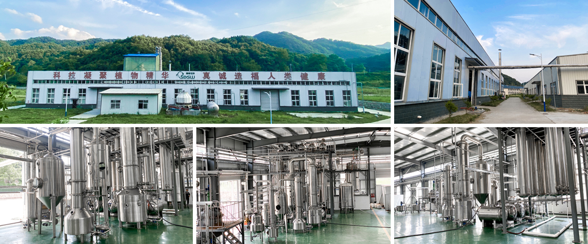 factory.jpg factory.jpg