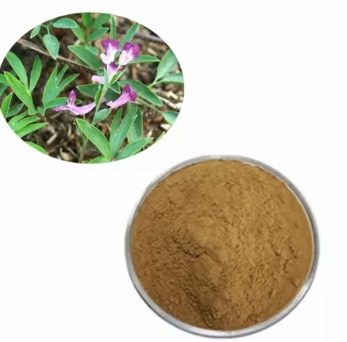 pluhur ekstrakt corydalis.png